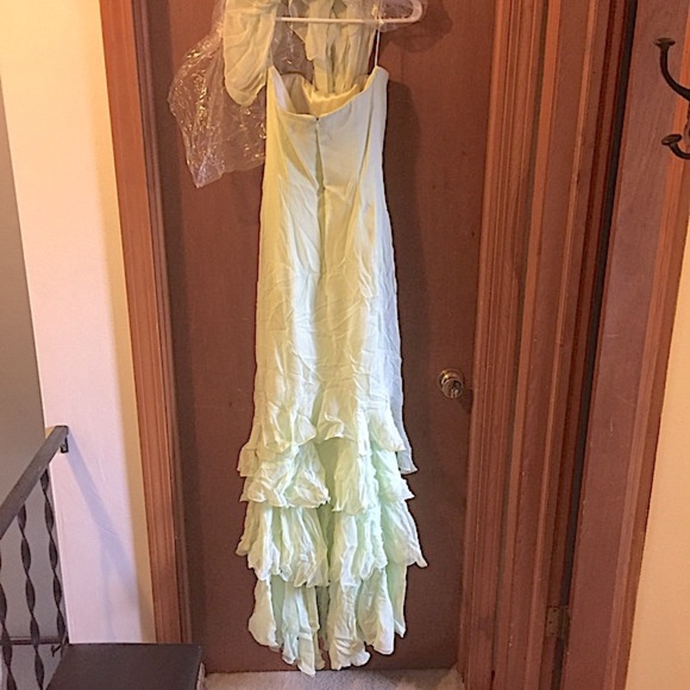 Shawn Ray Fons Light Green Silk Gown - Picture 4 of 4